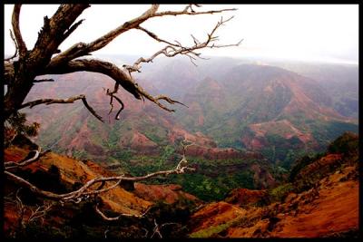 Canyon - Hawaii