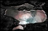 Bruce Peninsula puddle
