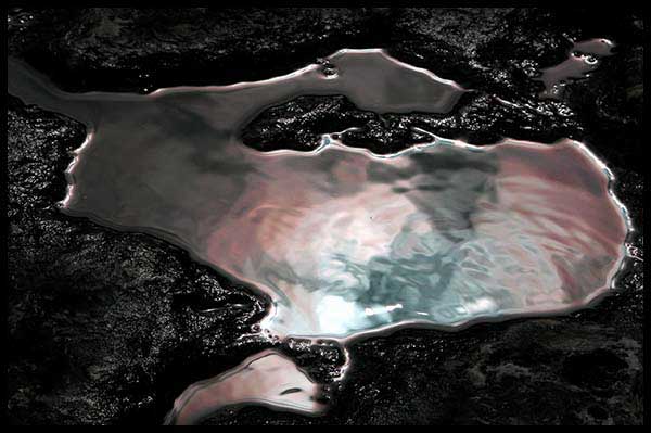 Bruce Peninsula puddle