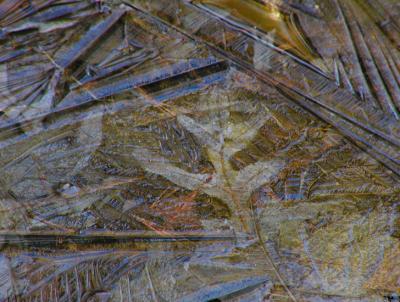 JPG CS Leaf Crystals P2191192.jpg