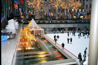 NY-0177-RkflrCntr-SE.jpg