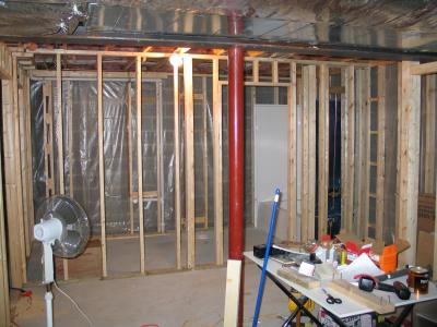 Basement Project - Ongoing...