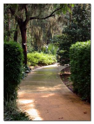 Leu Gardens - Orlando