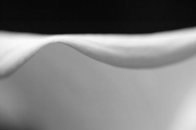 Abstract Calla 3 b&w