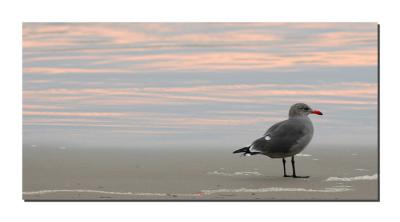 Chilling by the shore