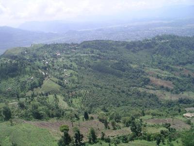 Pokhara, Sarangkot Hill - Paragliding