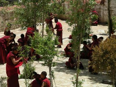 Ganden Monastery - Monks Debating