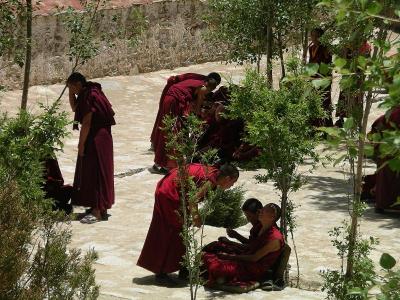 Ganden Monastery - Monks Debating