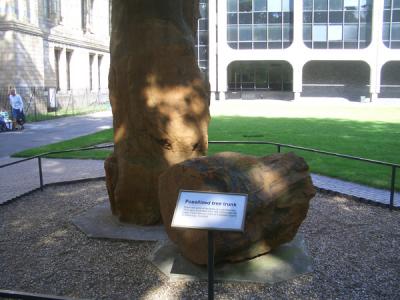 LNDN0254.JPG