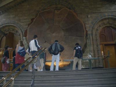 LNDN0260.JPG