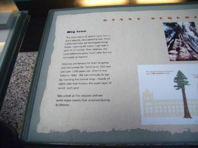 LNDN0262.JPG