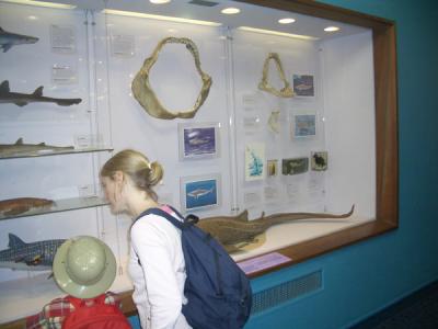 LNDN0263.JPG