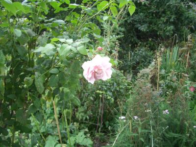 LNDN0434.JPG