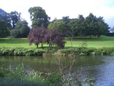LNDN0482.JPG