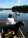 Canoein' and Swimin' with Dogs