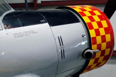 u47/rospotte/medium/31057610.DSC_0621.jpg