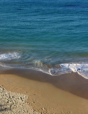 u47/rossb/medium/30142161.CoogeeBeach2.jpg