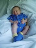 june_13_04 010.jpg