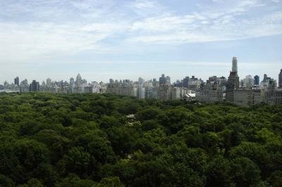 View of Central Park 8704