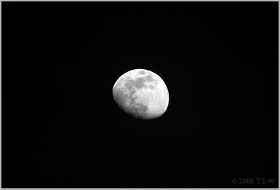Moon
