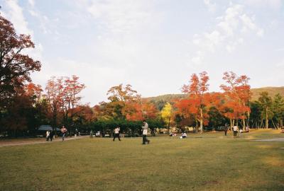 Japan - Nara