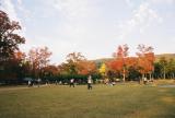 Japan - Nara