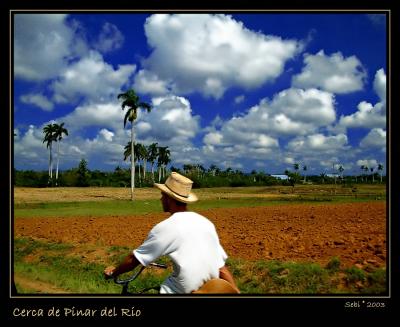 Cerca di Pinar del Rio