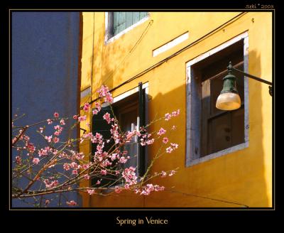 Spring in Venice