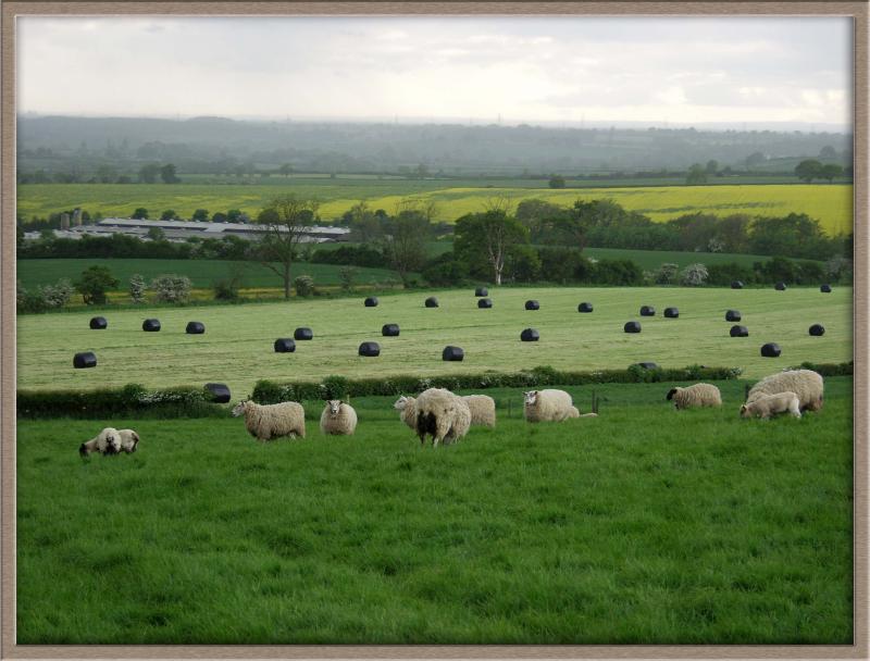 Across Johns Farm