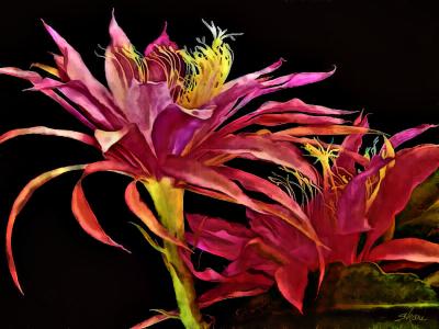 debbie's flowers