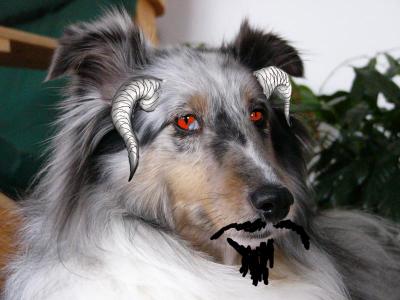 DeVilDoG.jpg