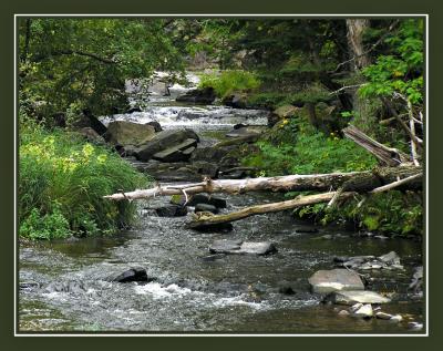 Eau Claire Dells