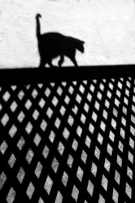 Abstract cat on balustrade shadow