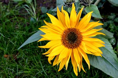 041023 Colors of Fall -029.jpg