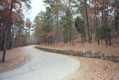Walk in the woods
