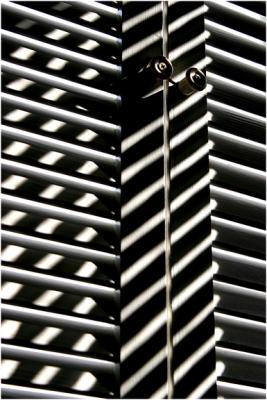 White Slats With Shadows