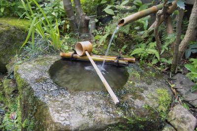 Washbowl in my Garden