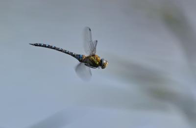 IMG00057.jpg