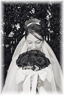 Signature Prints Photography