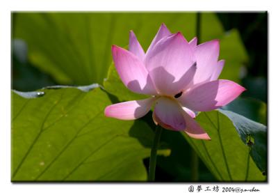 DSC_0092.jpg