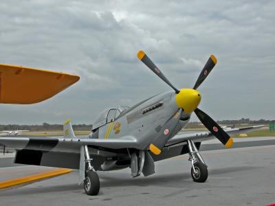 Tiger Moth and P-51 Mustang #4