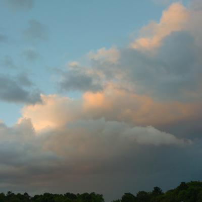 DSC_0010.jpg
