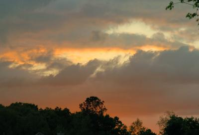 DSC_0023.jpg