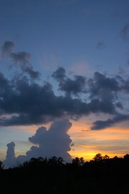 DSC_0036.jpg