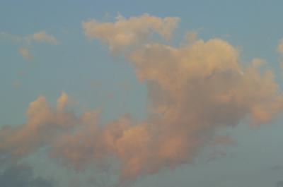 DSC_0042.jpg