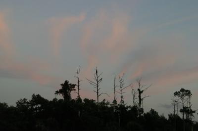 DSC_0094.jpg