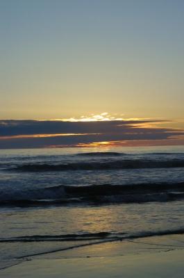 DSC_0204.jpg