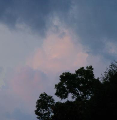 DSC_0058.jpg