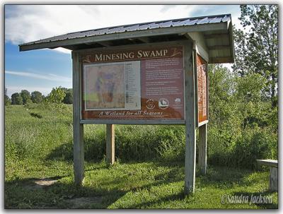 Minesing Swamp info centre
