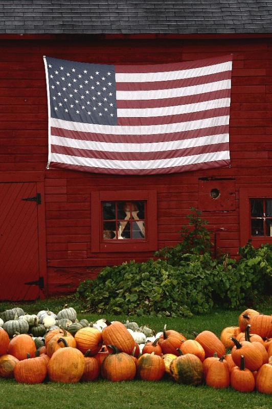 Pumpkins